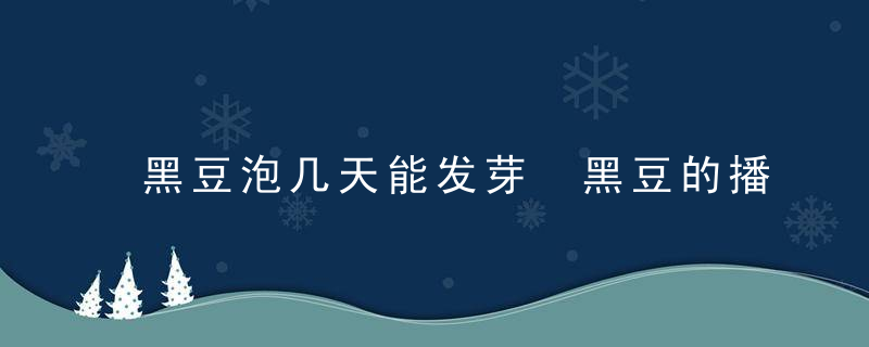 黑豆泡几天能发芽 黑豆的播种时间